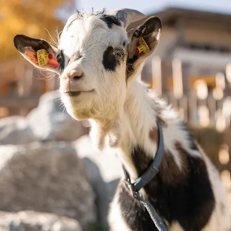 Laudegghof アパート ラディス